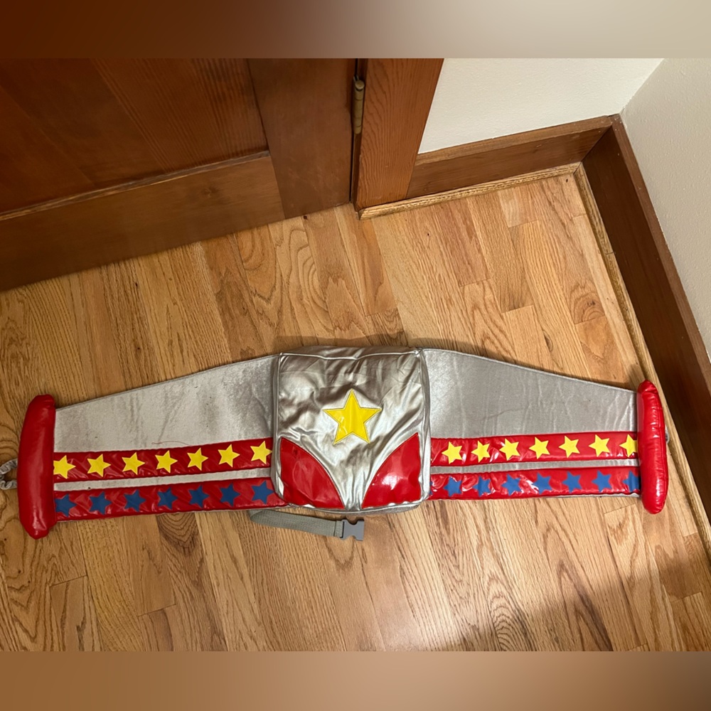 Planes Costume Wings